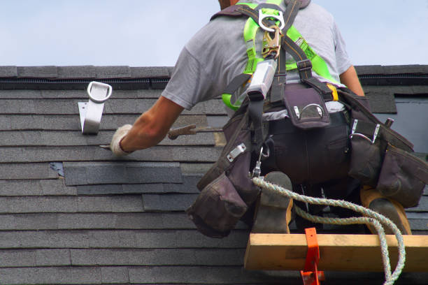 Roof Gutter Cleaning in Humansville, MO