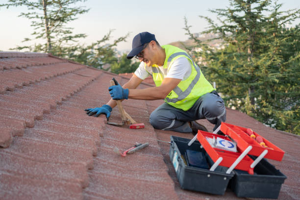 Best Commercial Roofing Services  in Humansville, MO