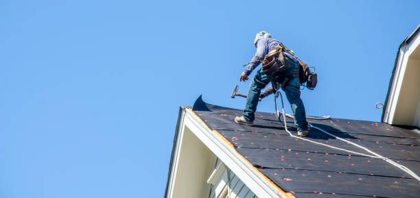 Best Roof Repair Services  in Humansville, MO